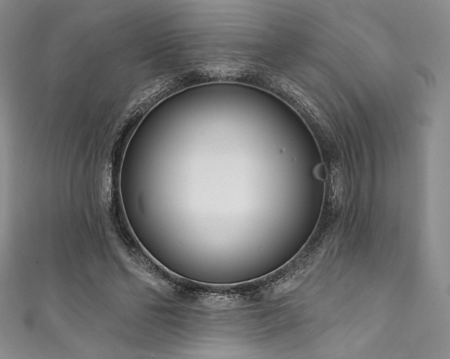 X0000111890494200907231559