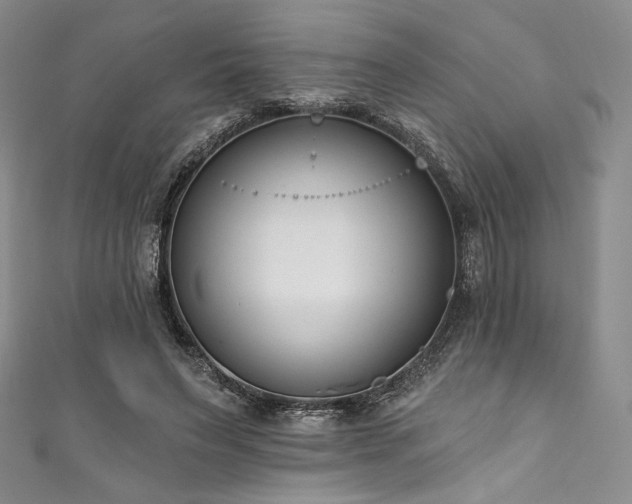 X0000111890495200907231559