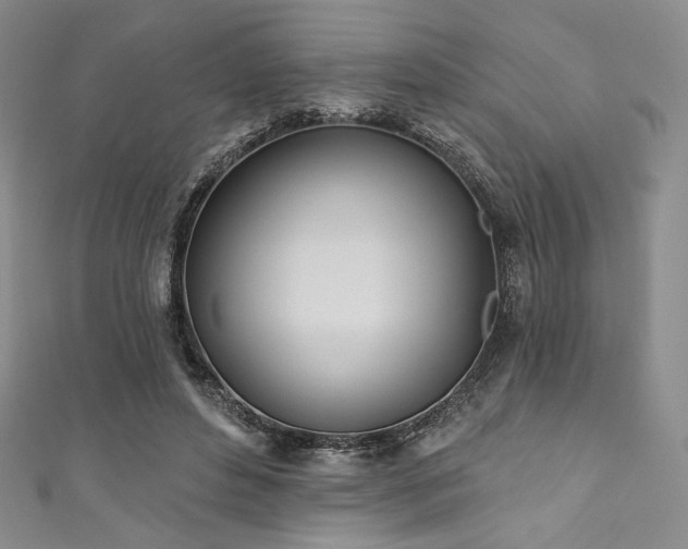 X0000111890496200907231559