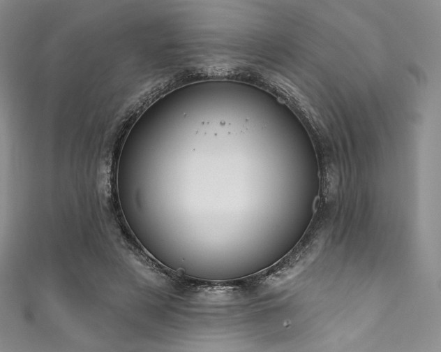 X0000111890497200907231559