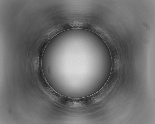 X0000111890498200907231559