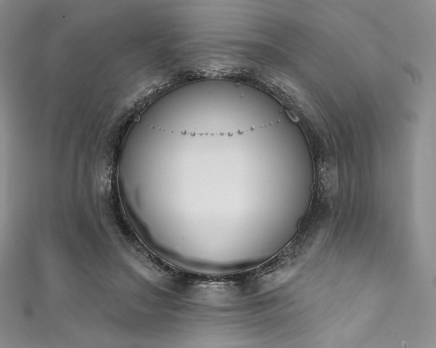 X0000111890499200907231559