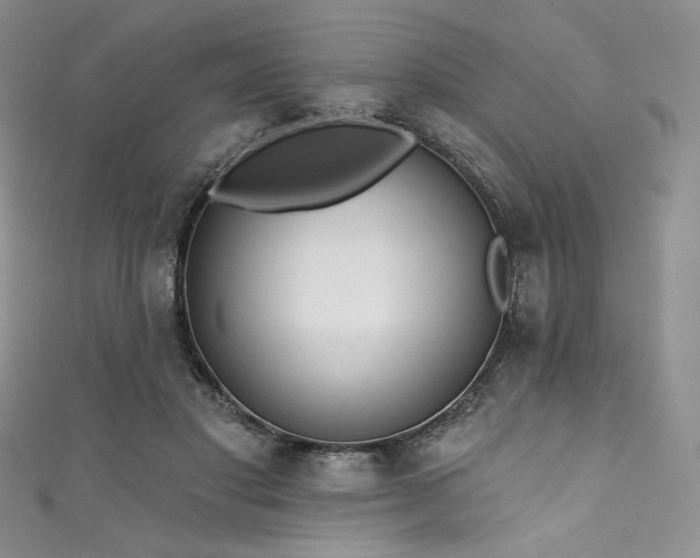 X0000111890501200907231559