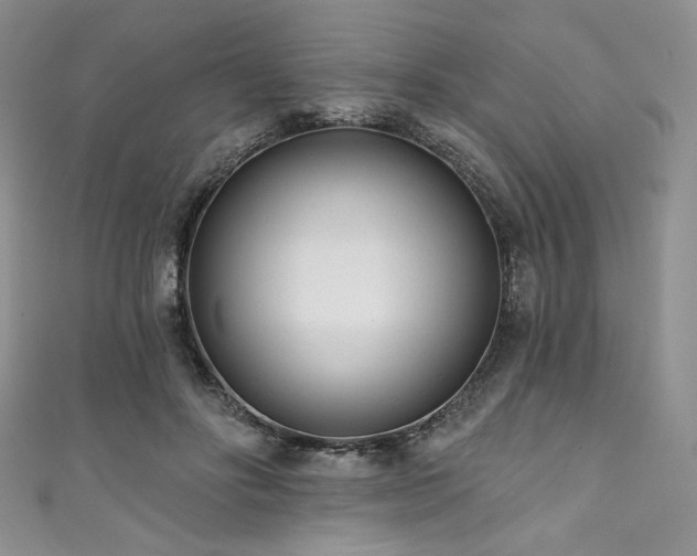 X0000111890502200907231559