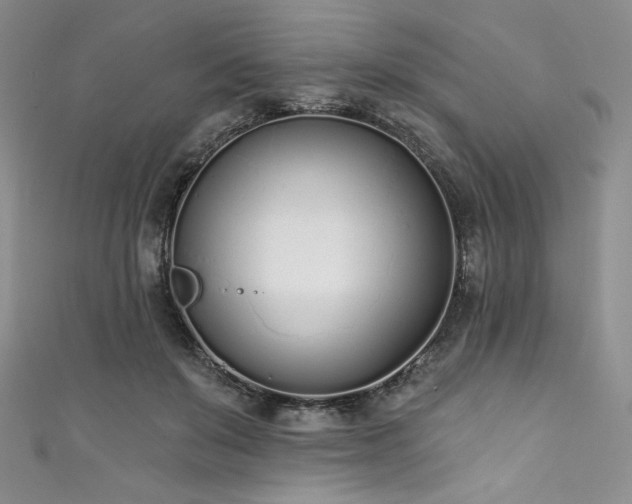 X0000111890503200907231559