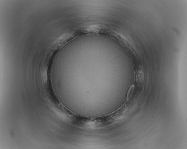 X0000111890504200907231559