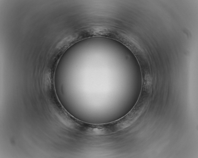 X0000111890506200907231559