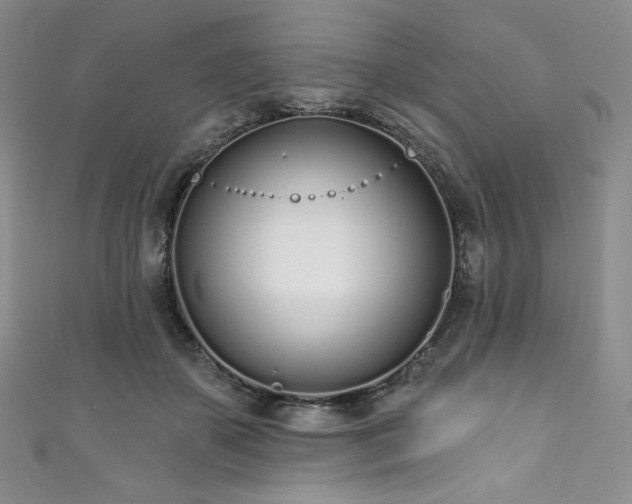 X0000111890507200907231559