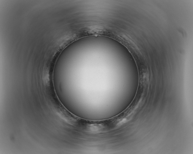 X0000111890508200907231559