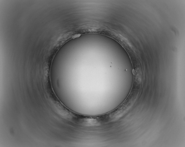 X0000111890509200907231559