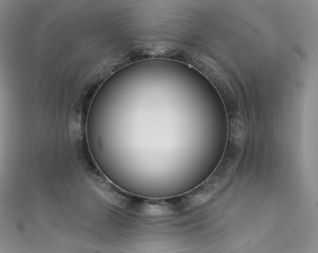 X0000111890510200907231559