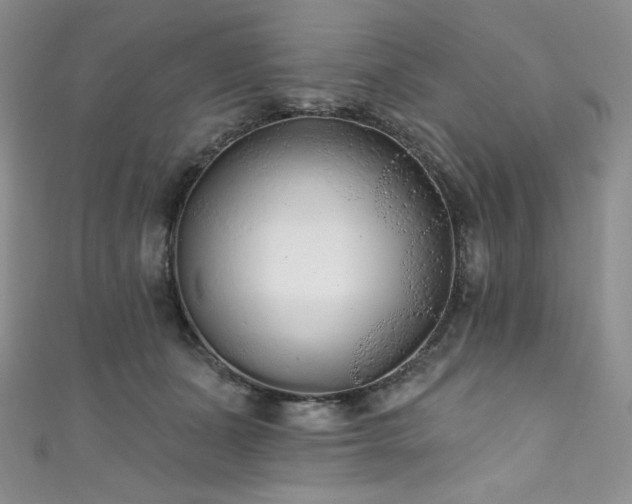 X0000111890511200907231559