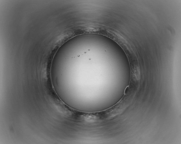 X0000111890512200907231559