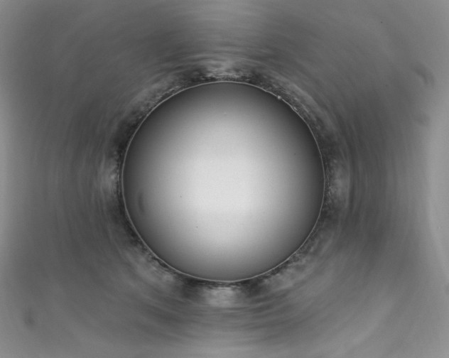 X0000111890513200907231559