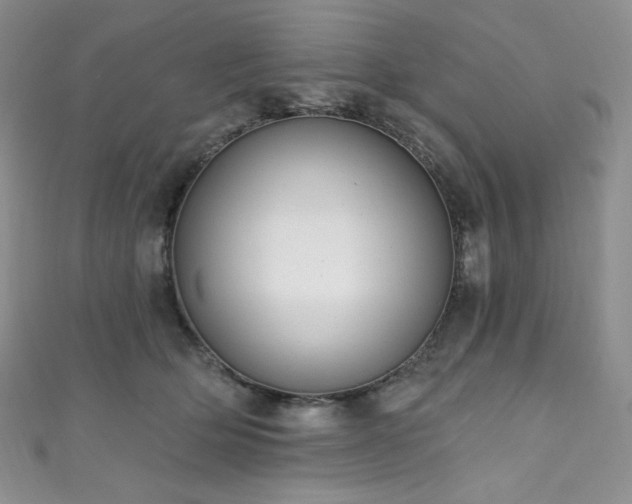 X0000111890514200907231559