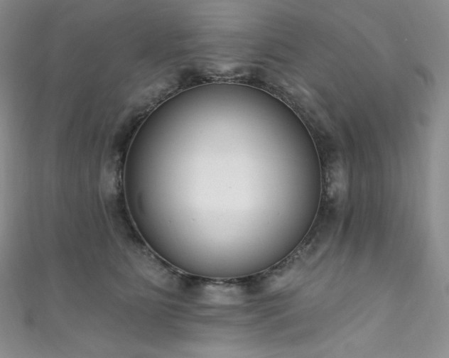 X0000111890515200907231559