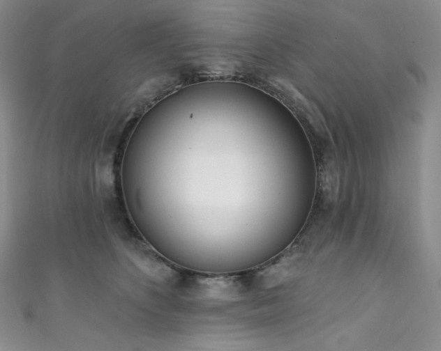 X0000111890516200907231559