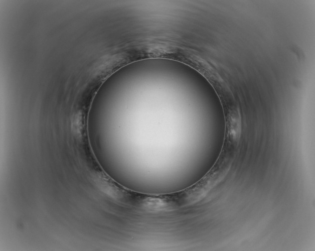 X0000111890519200907231559