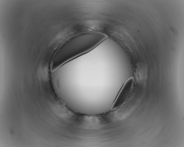 X0000111890520200907231559