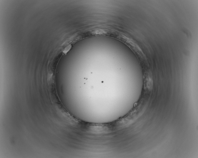 X0000111890521200907231559