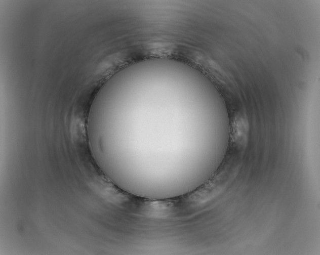 X0000111890522200907231559