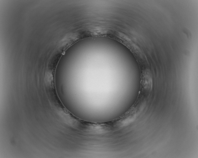 X0000111890523200907231559
