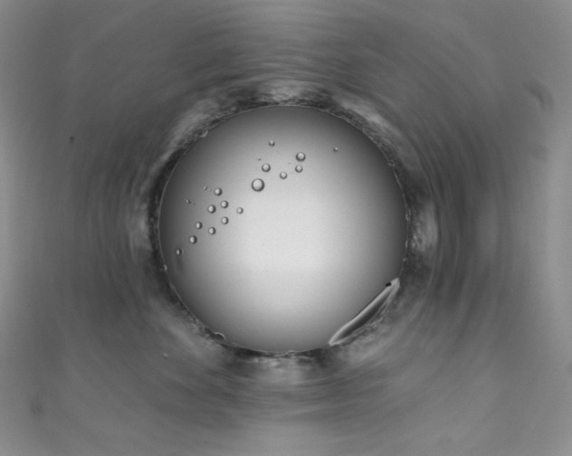 X0000111890524200907231559
