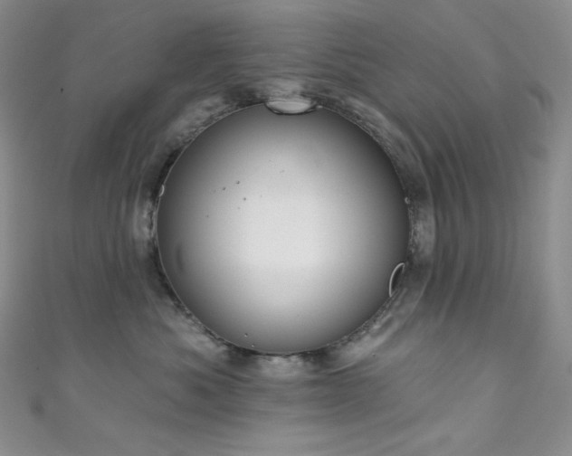X0000111890525200907231559