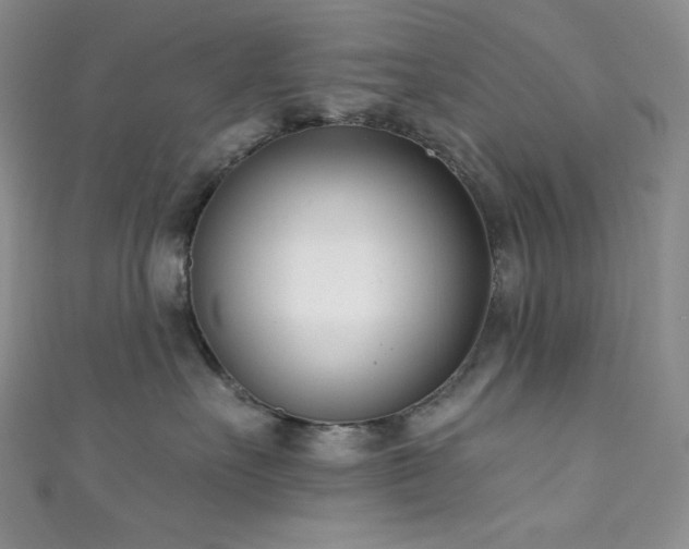 X0000111890527200907231559