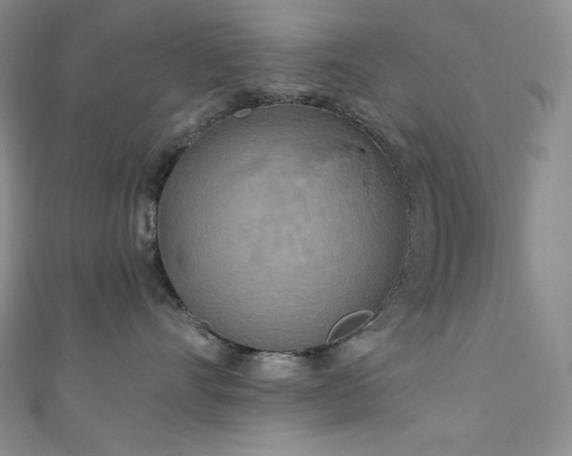 X0000111890528200907231559
