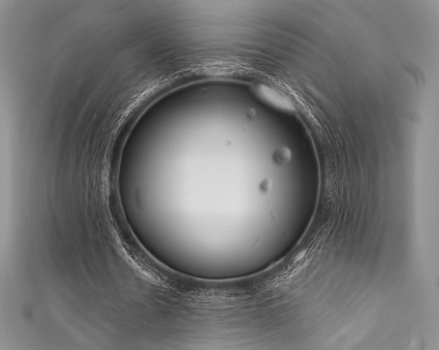 X0000111890530200907231558