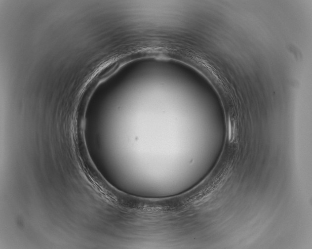 X0000111890531200907231558