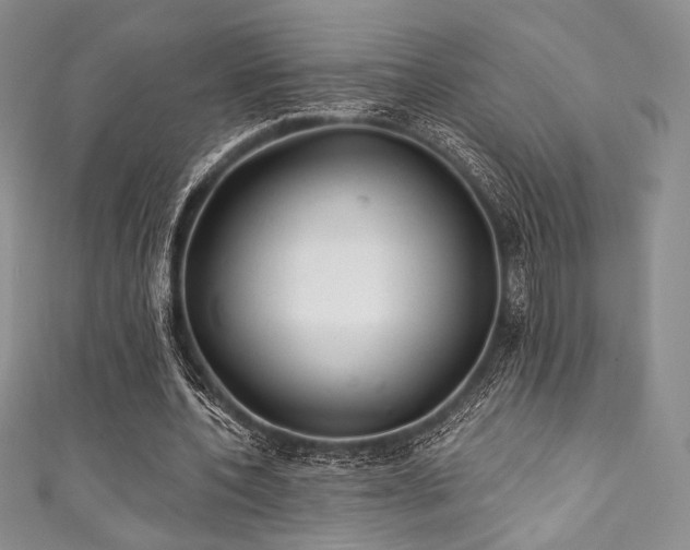 X0000111890532200907231558