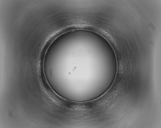 X0000111890535200907231558