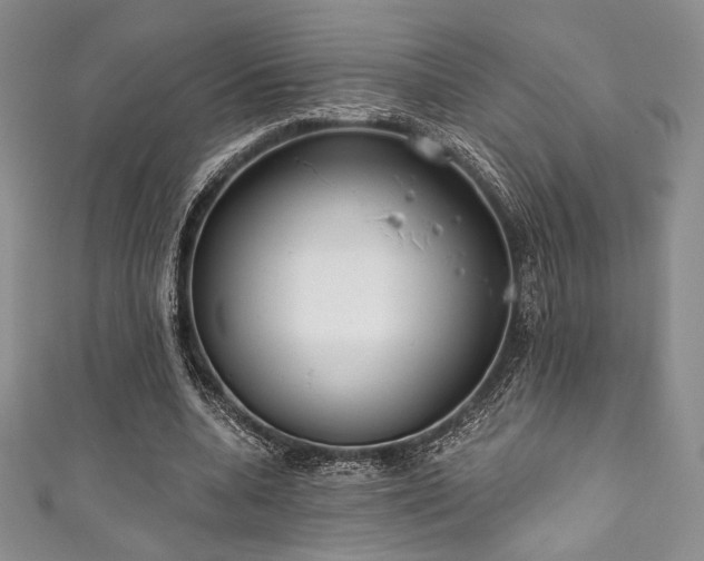 X0000111890536200907231558
