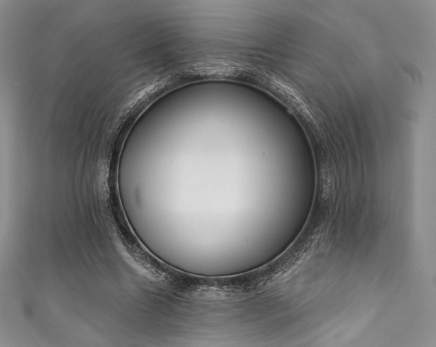 X0000111890538200907231558