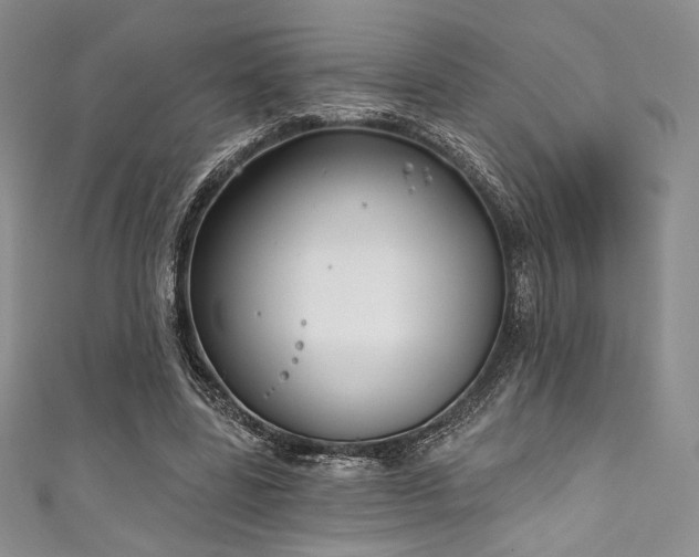 X0000111890539200907231558