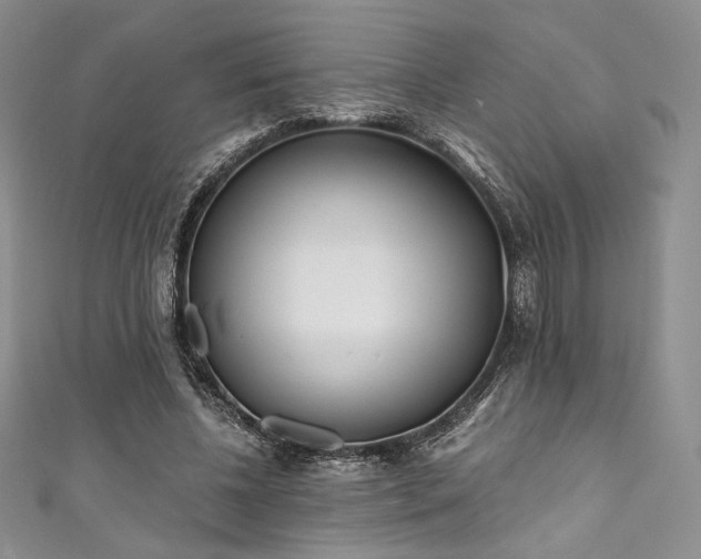 X0000111890540200907231558