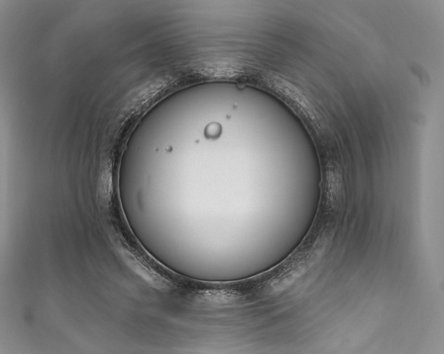 X0000111890541200907231558