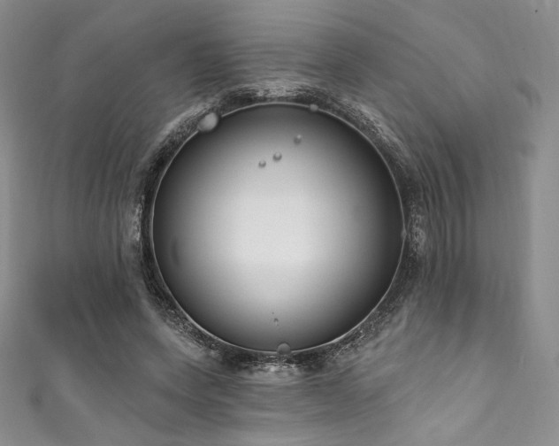 X0000111890543200907231558