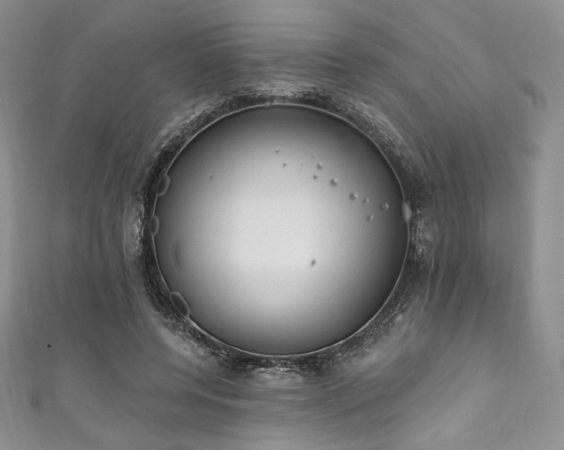 X0000111890544200907231558