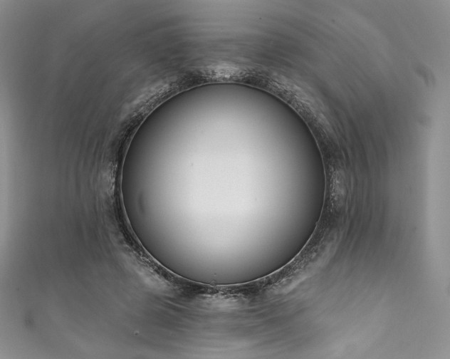 X0000111890545200907231558