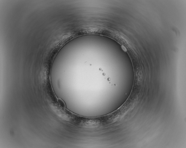 X0000111890546200907231558