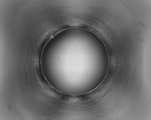 X0000111890547200907231558