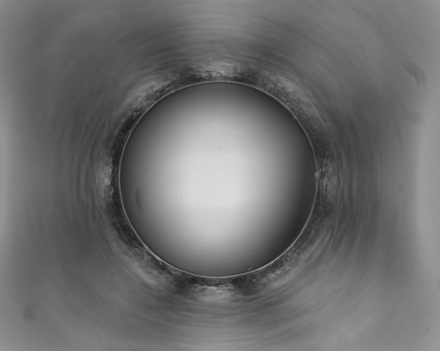 X0000111890548200907231558