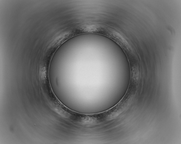 X0000111890549200907231558