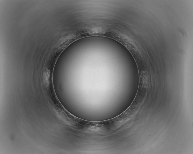 X0000111890550200907231558