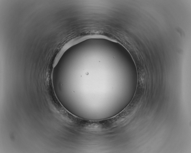X0000111890551200907231558