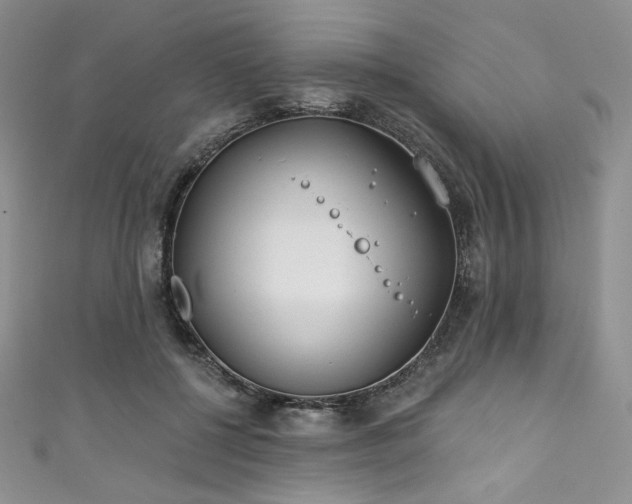 X0000111890552200907231558