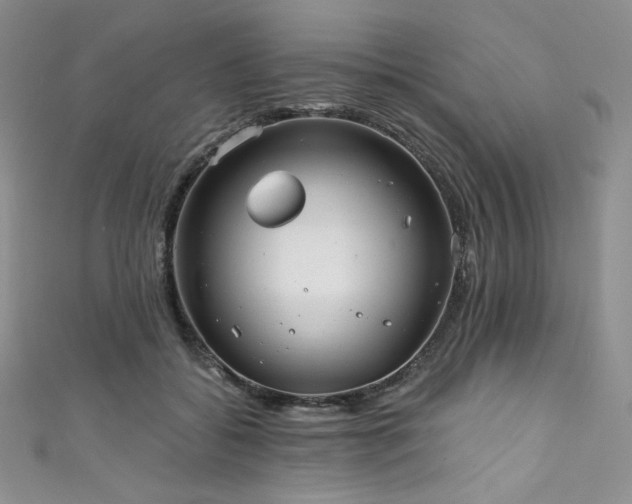 X0000111890556200907231558